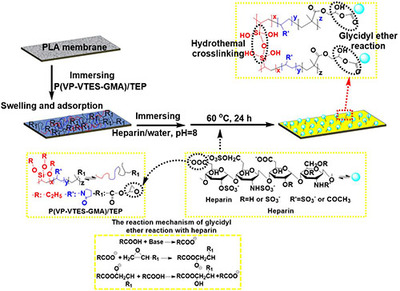 寧波材料所生物基聚合物微孔膜制備及改性研究獲進(jìn)展_中國膜工業(yè)協(xié)會(huì)