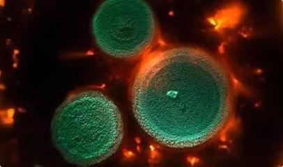 魏蔻蔻:一家年銷售額過百億歐元的公司是如何兼顧利潤和環(huán)境的? - 今日頭條(TouTiao.org)