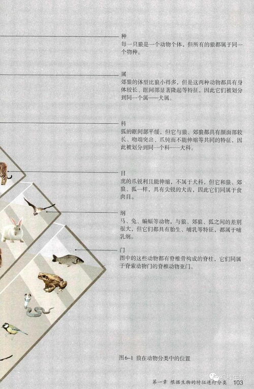 生物基材料 可持續(xù)發(fā)展中的綠色先鋒