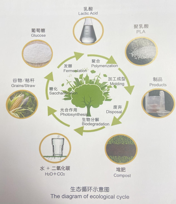 冬奧會餐盤 酸奶“親戚”引領(lǐng)生物基材料新風(fēng)尚